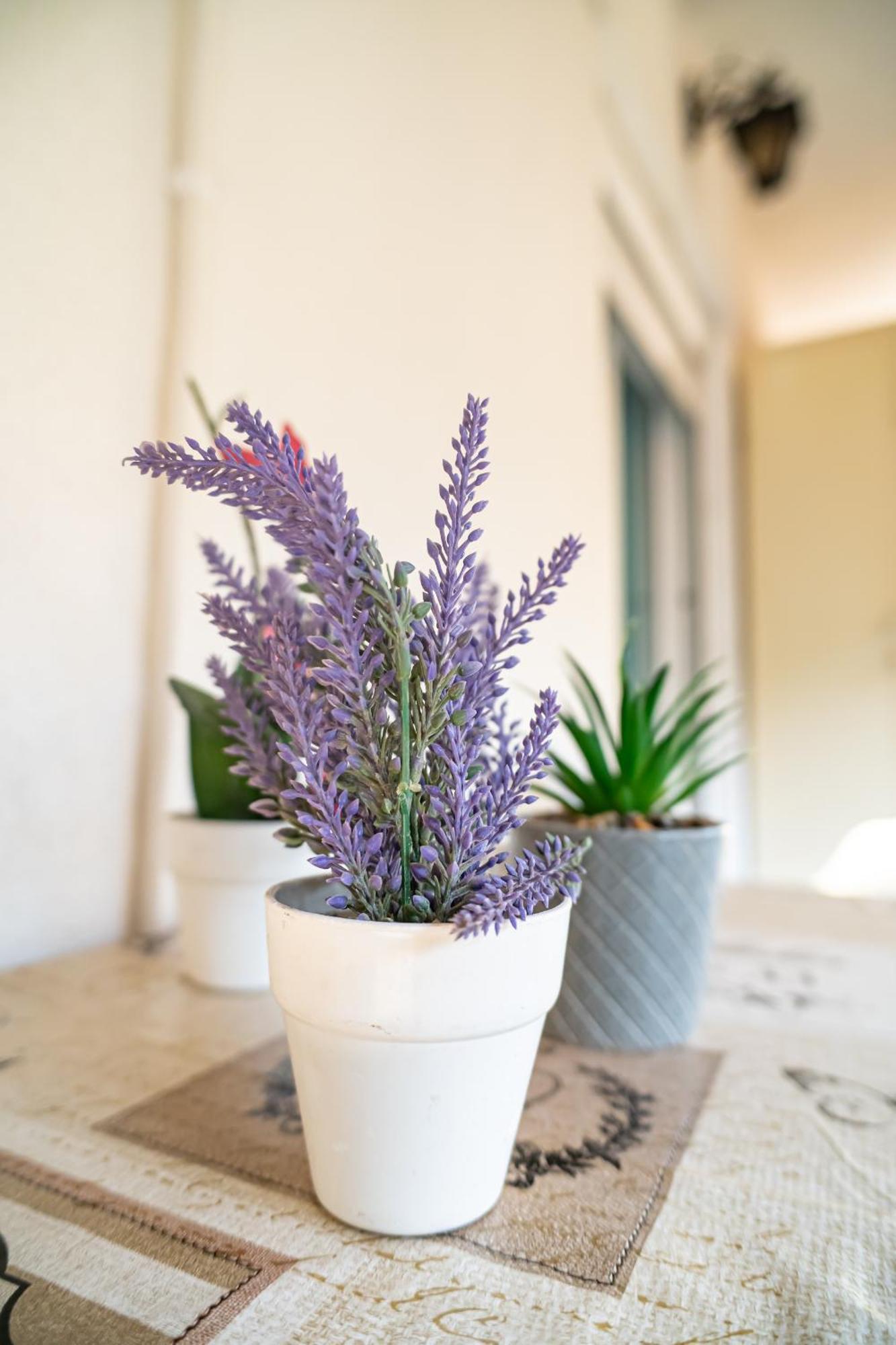 Feel Greek Hospitality #Θ006 Apartment Salonic Exterior foto